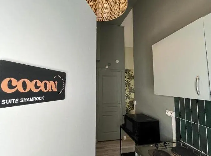 Suite Shamrock - Check In H24 - Proche Gare Perrache